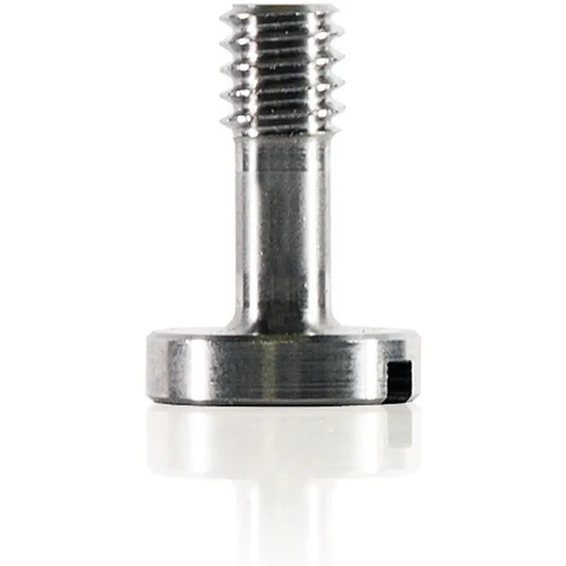 Screw 1/4-20