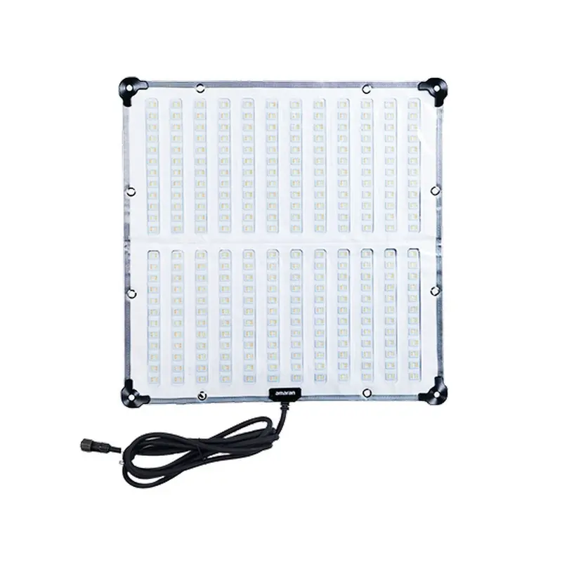 Amaran F22x (EU)