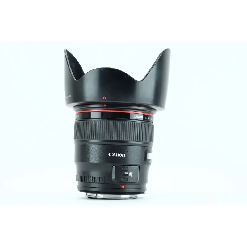 Canon EF 24mm f/1.4L II USM
