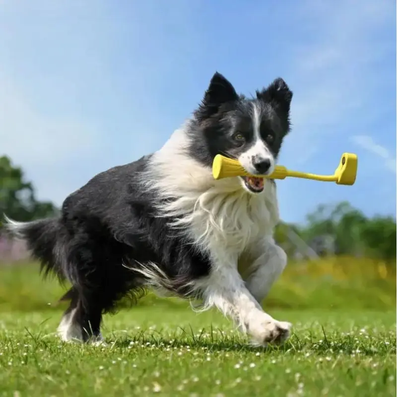Insta360 Go 3 - Fetch Stick