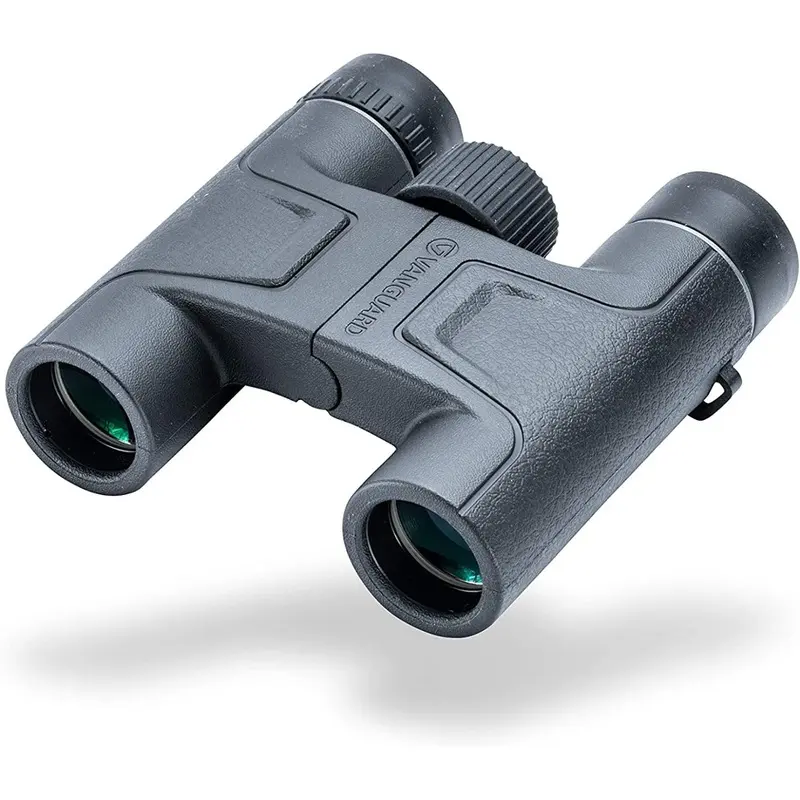 Vanguard Vesta 10x25 Binoculars