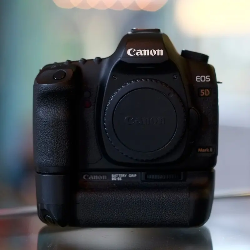 Canon EOS 5D Mark II with BG-E6