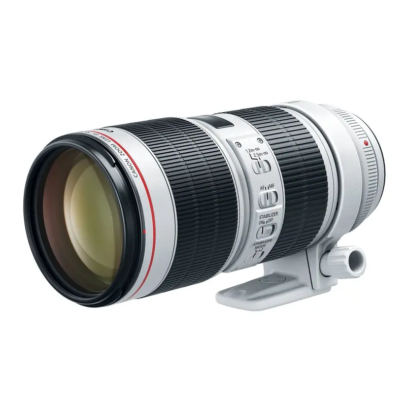 Canon EF 70-200mm f/2.8L IS III USM, 77