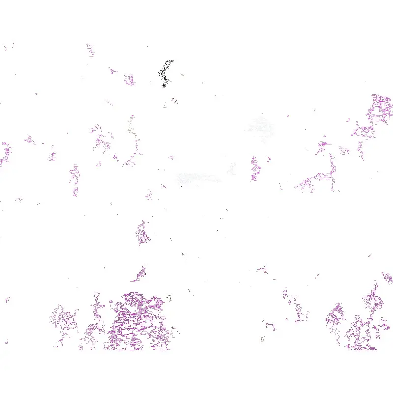 Savage Background Paper 86"