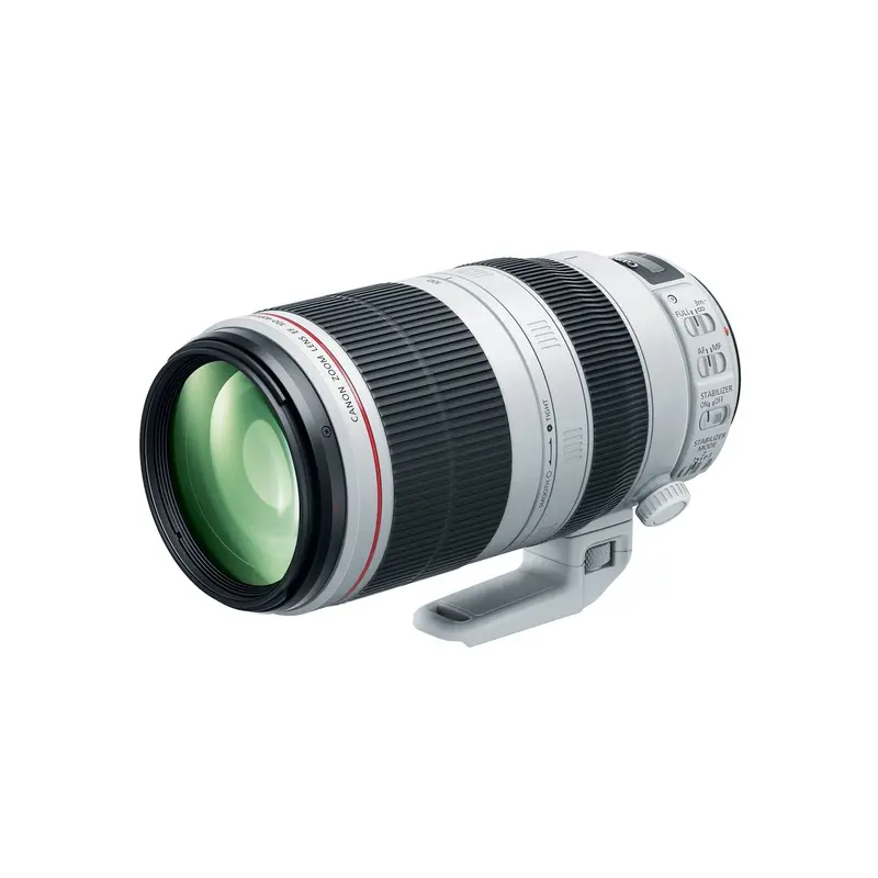 Canon EF 100-400mm f/4.5-5.6L IS II USM, 77