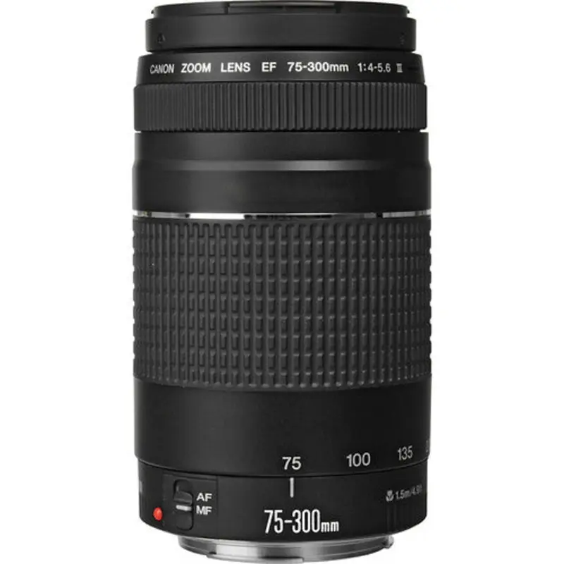 Canon EF 75-300mm f/4-5.6 III, 58
