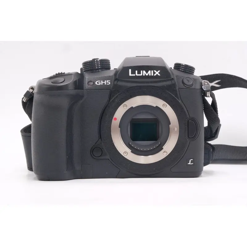 Panasonic GH5-09092 Lumix GH5 Mirrorless Camera W/ Lumix G 20mm f/1.7 ASPH, Used